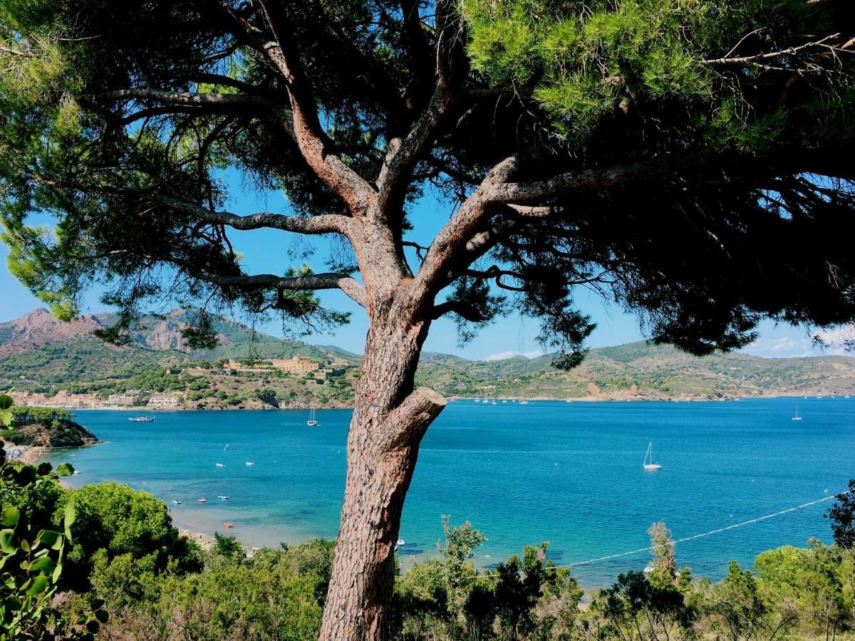 Casa Anna - Capo Perla Apartments Capoliveri  Dış mekan fotoğraf